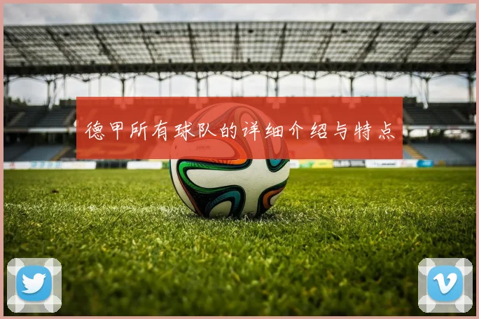 德甲所有球队的详细介绍与特点