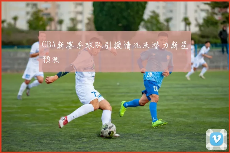CBA新赛季球队引援情况及潜力新星预测