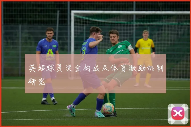 英超球员奖金构成及体育激励机制研究